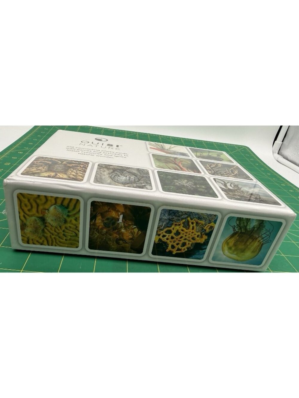 OuiSi Nature Photo Visual Connections Card Game New Sealed.